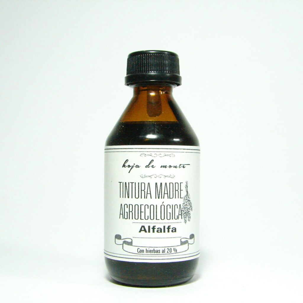 Alfalfa