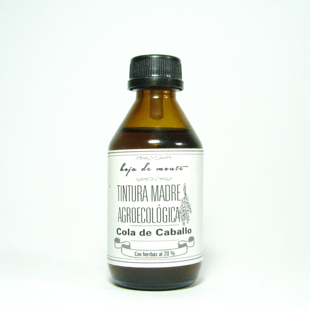 Cola de Caballo