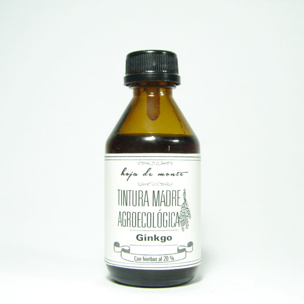 Ginkgo