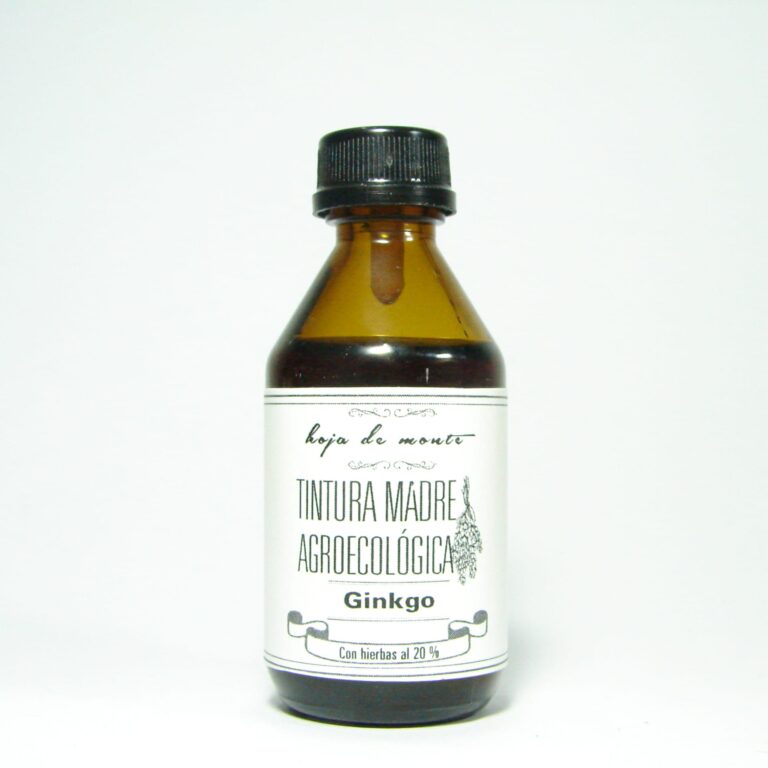 Ginkgo