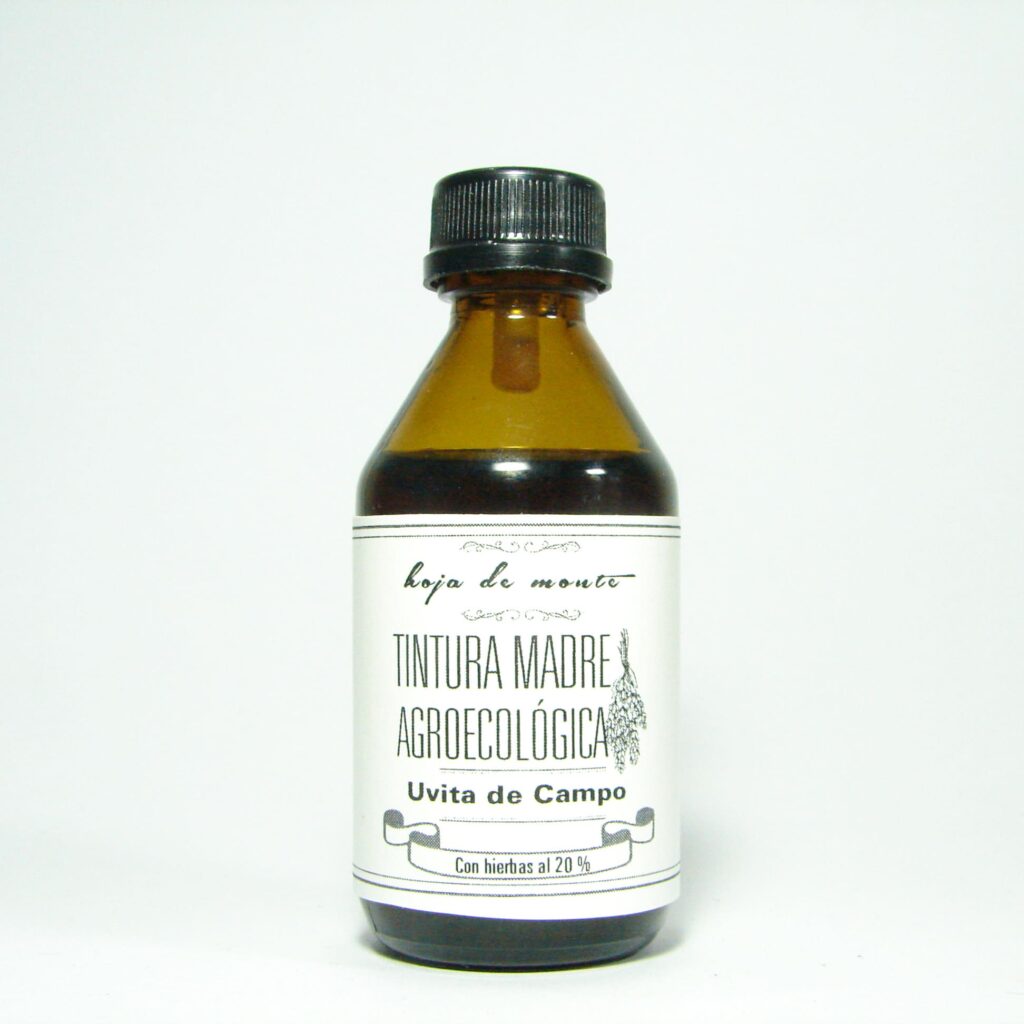 Uvita de campo